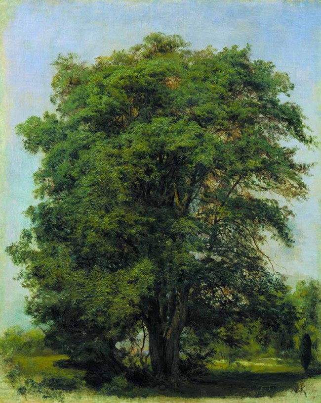 Сочинение по картине: Клодт - "Дерево"