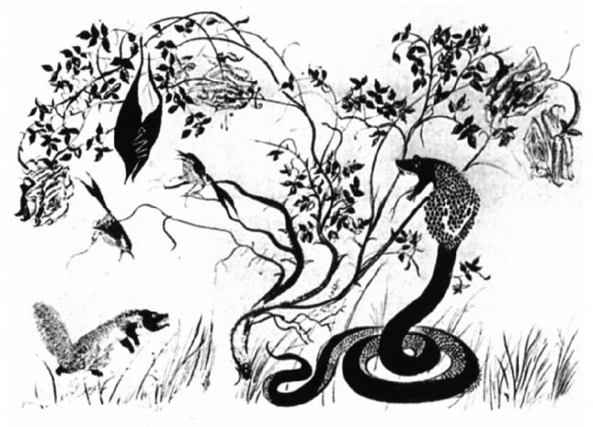 Сочинение по картине: Курдов - "Иллюстрация к рассказу Р. Киплинга `Рикки-Тикки-Тави`"