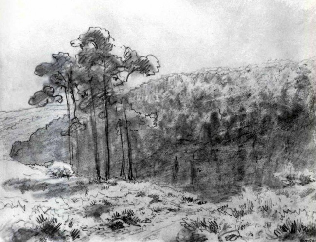 Сочинение по картине: Васильев - "Лесистые холмы. Валаам"