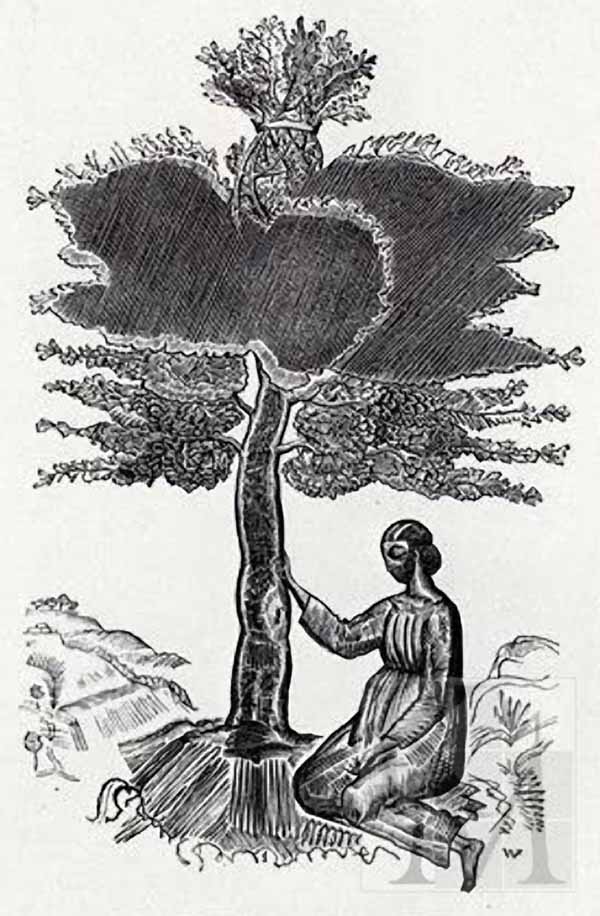 Сочинение по картине: Фаворский - "Руфь, сидящая у древа" Сочинение по картине: Фаворский - "Руфь, сидящая у древа"