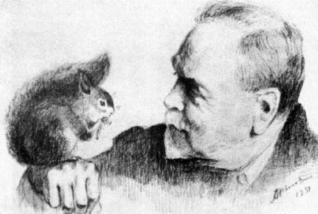 Сочинение по картине: Рылов - "Автопортрет"