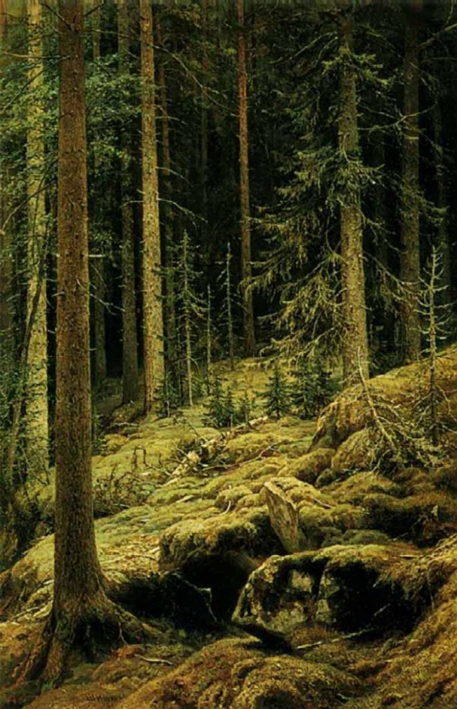 Сочинение по картине: Шишкин - "Дебри"