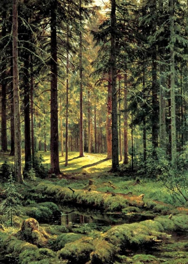 Сочинение по картине: Шишкин - "Хвойный лес. Солнечный день"