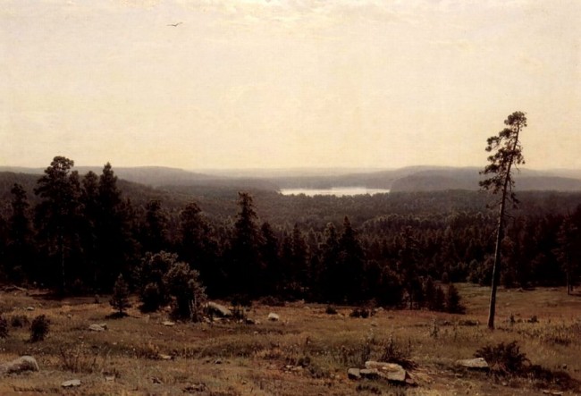 Сочинение по картине: Шишкин - "Лесные дали"