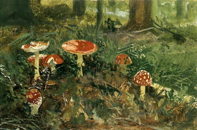 Сочинение по картине: Шишкин - "Мухоморы"